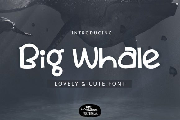 Big Whale: A Charming Display Font for Editorial Design