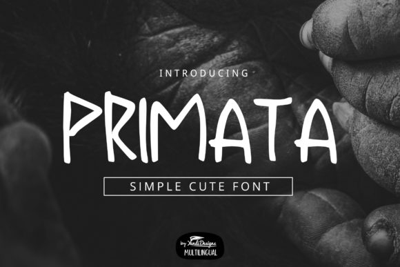 Primata: The Perfect Font for Your Business Branding